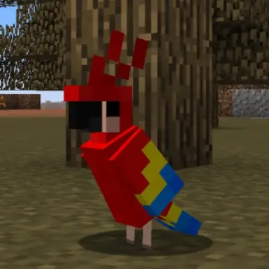 Profile image of 양야