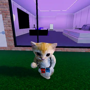 Profile image of 길냥이