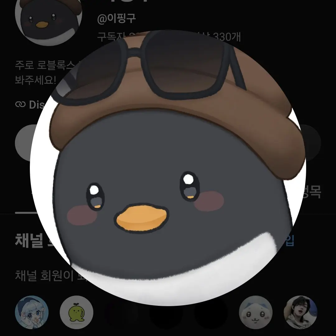 AfraidPanel0207의 유튜버들의 청춘