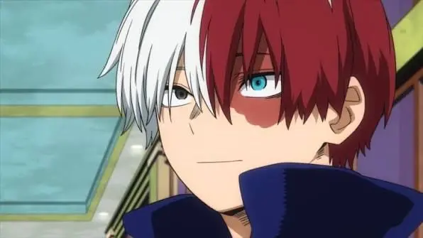 Profile image of Shoto Todoroki