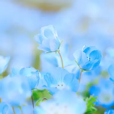 Profile image of 一部の変態リスナー