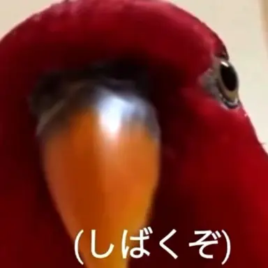 Profile image of いじめっこB