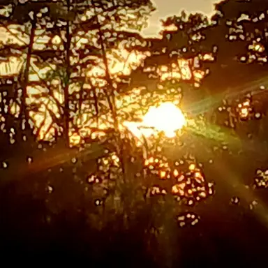 Profile image of 이 서준