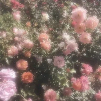 Profile image of 김 유안