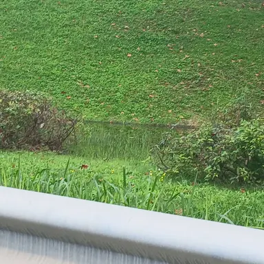 Profile image of 한 아름