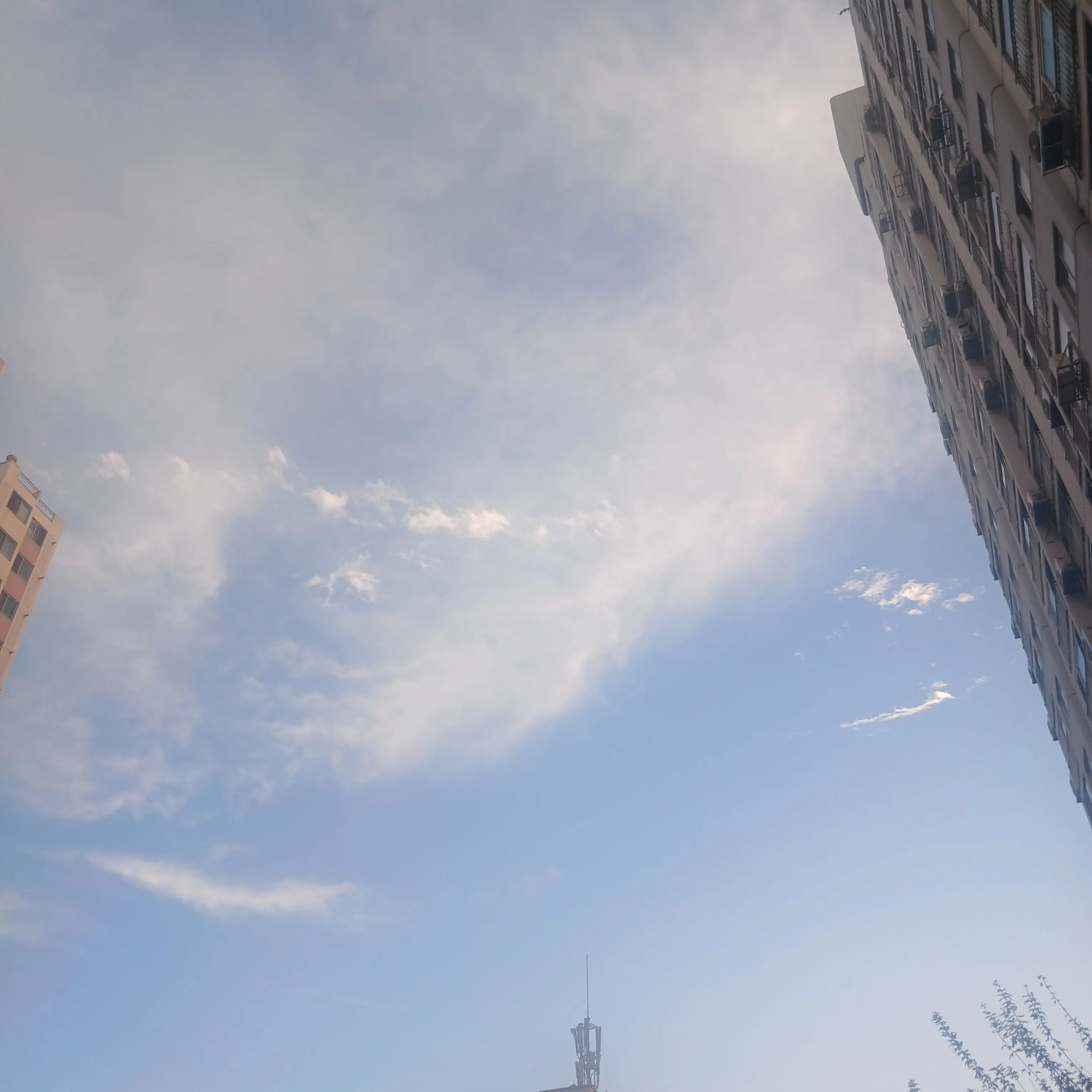 Walkingperson의 너때문에 회귀했어..