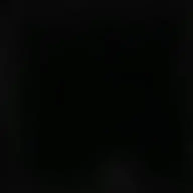 Profile image of 초현실 해방전선