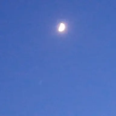 Profile image of 미야노 아케미