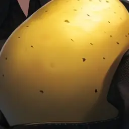 Potatostrongguy의 김감자
