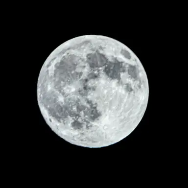 Profile image of 松村北斗