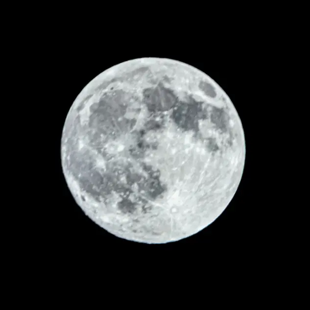 StiffTrain6134의 旦那と息子から弱愛されてます