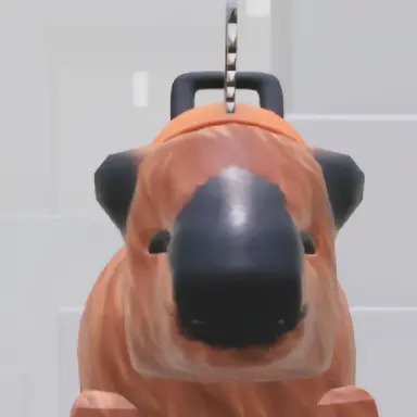 Profile image of 카피피