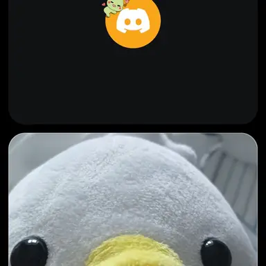 Profile image of 허인서