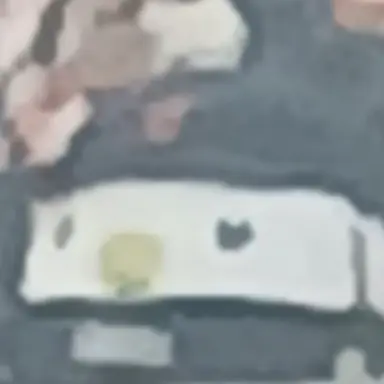 Profile image of 이도윤