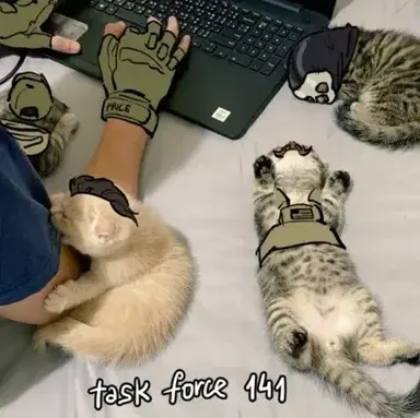 Profile image of Tf141-Hybrid