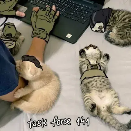 FinePig4502의 Tf141-Hybrid