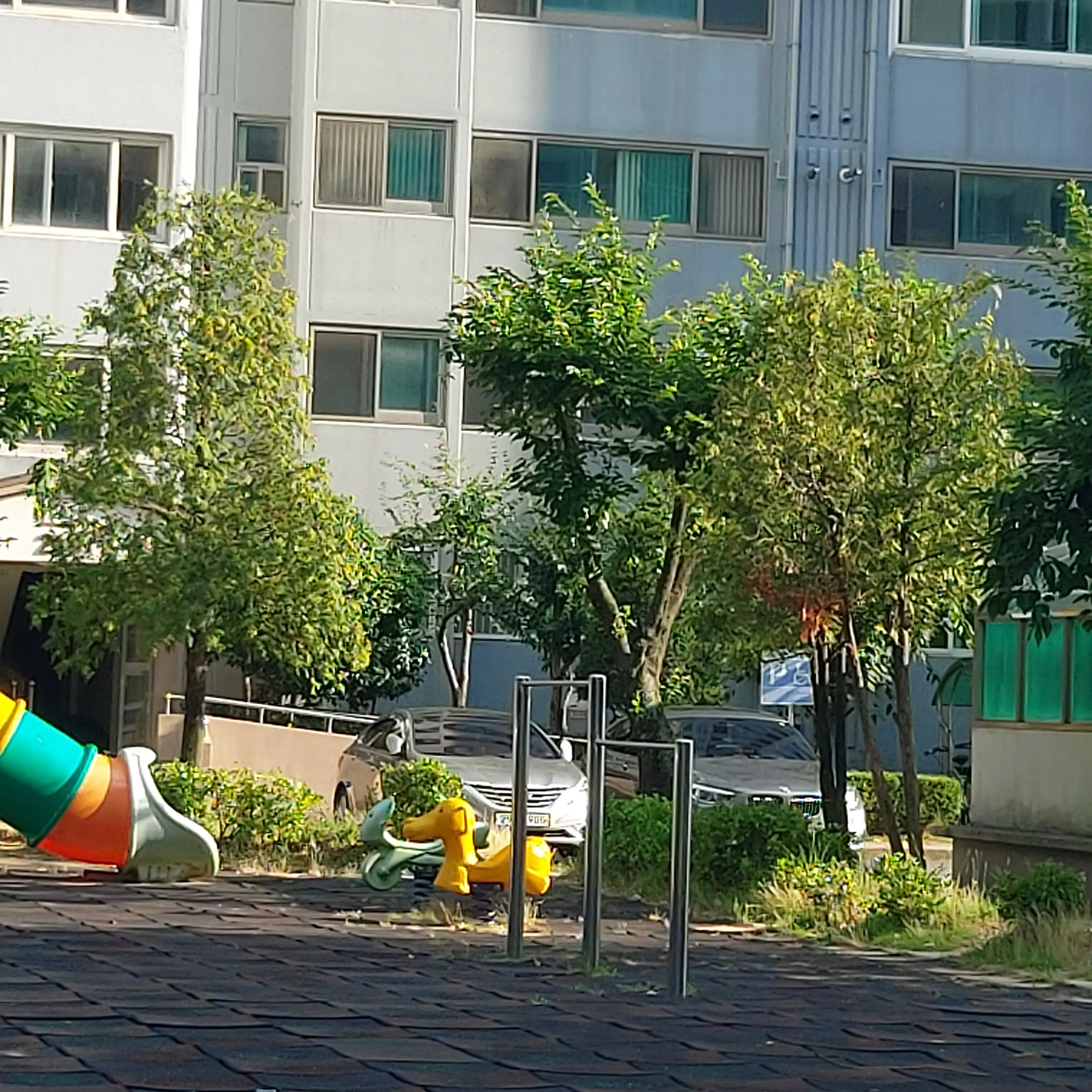 SnazzyCoat1047의 놀이터 