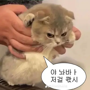 Profile image of 여우