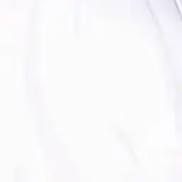 160816의 댄디스월드!+여우