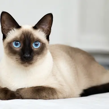 Profile image of 루루