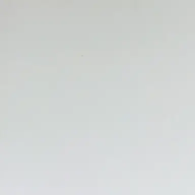 Profile image of 릴리