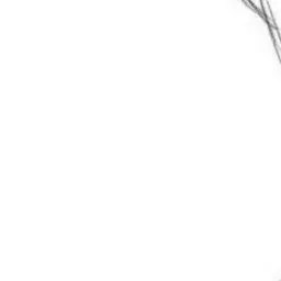 Profile image of 박준원