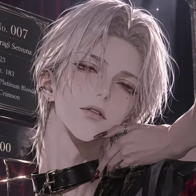Profile image of Setsuna