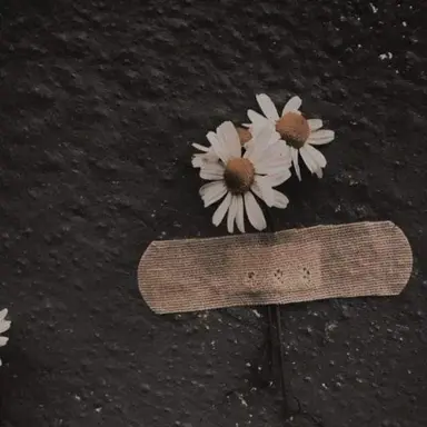 Profile image of 권지용