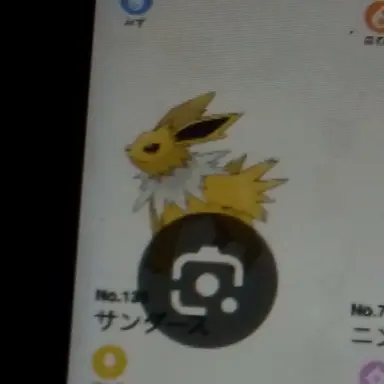 Profile image of サンダース