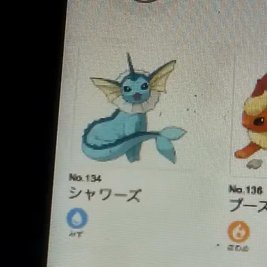 Profile image of シャワーズ