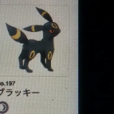 Profile image of ブラッキー