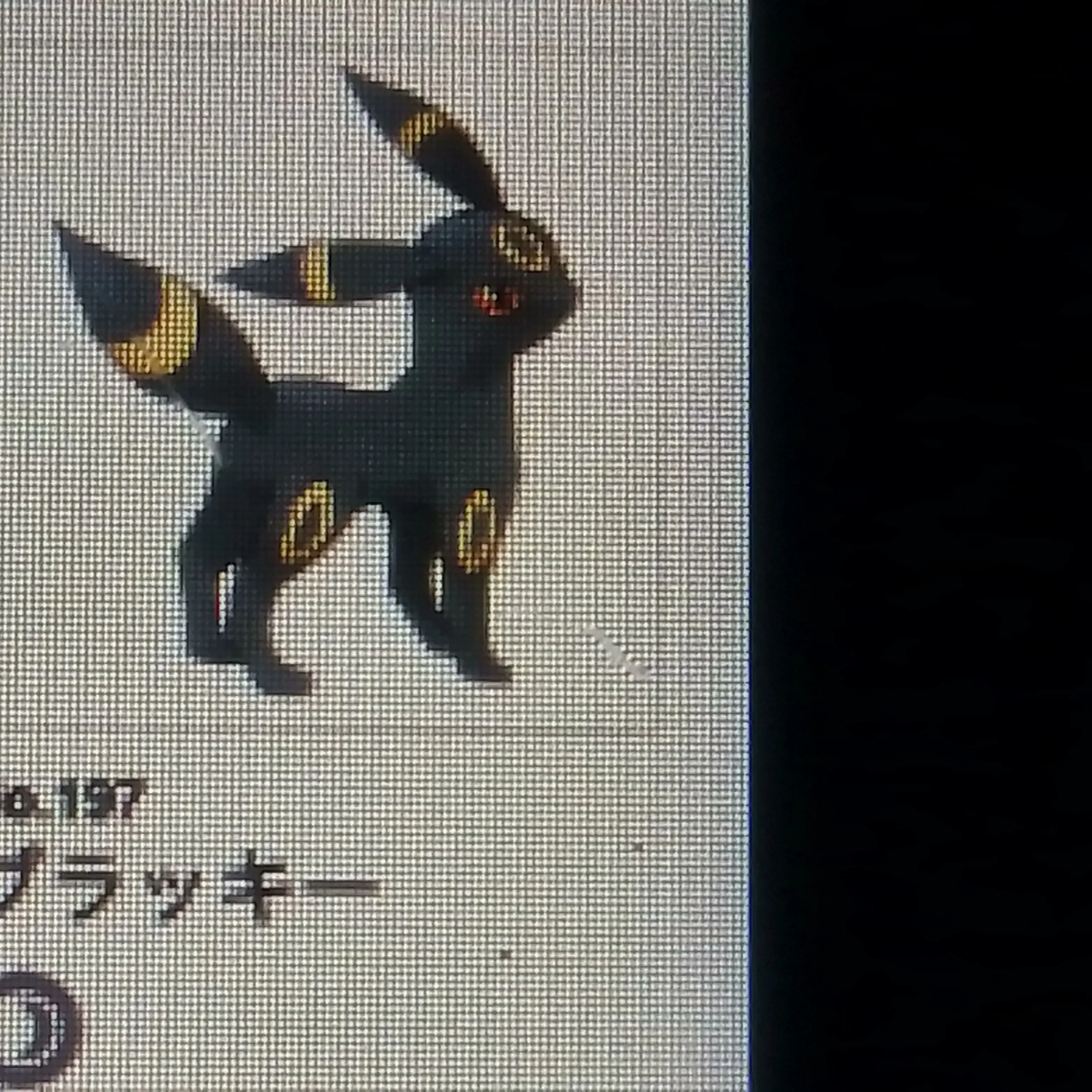 TimelyBrug7555의 イーブイとイーブイの進化系！