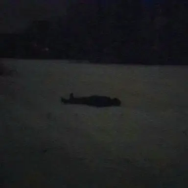 Profile image of 노윈