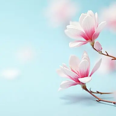Profile image of 설윤