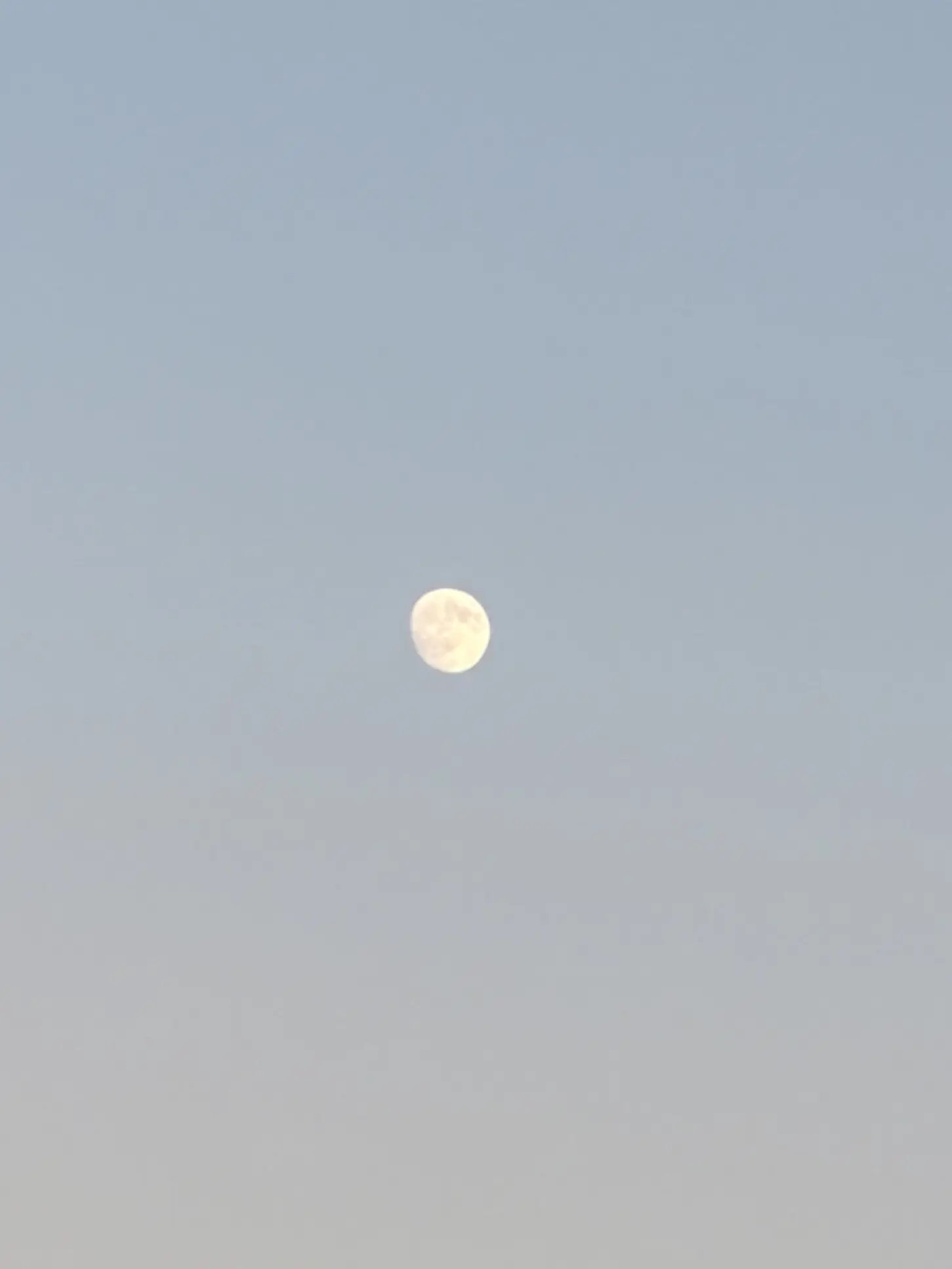 LovedWorm8959의 대환장 파티