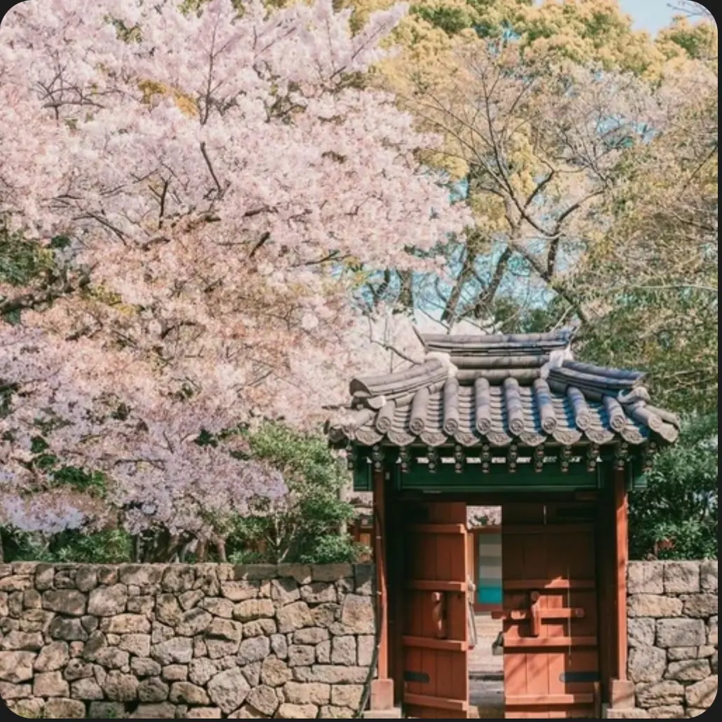 AntsySteam1228의 조선 in T1