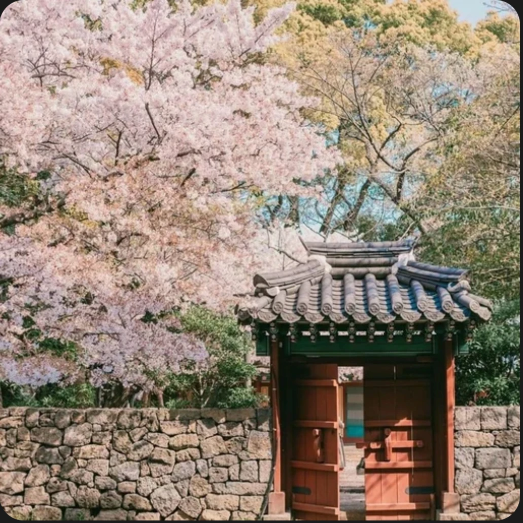 조선 in T1
