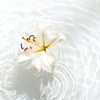 Profile image of 세인트릴리