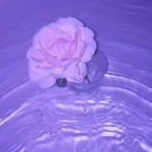 Profile image of 블랙사파이어