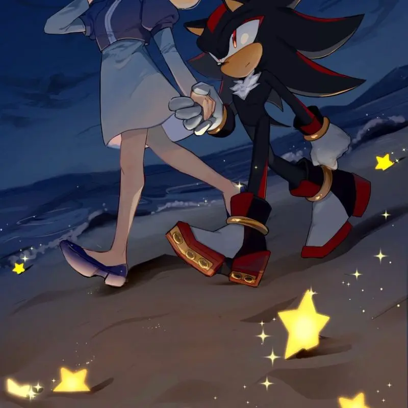 SONADOW_의 Shadow, Sonic and Void