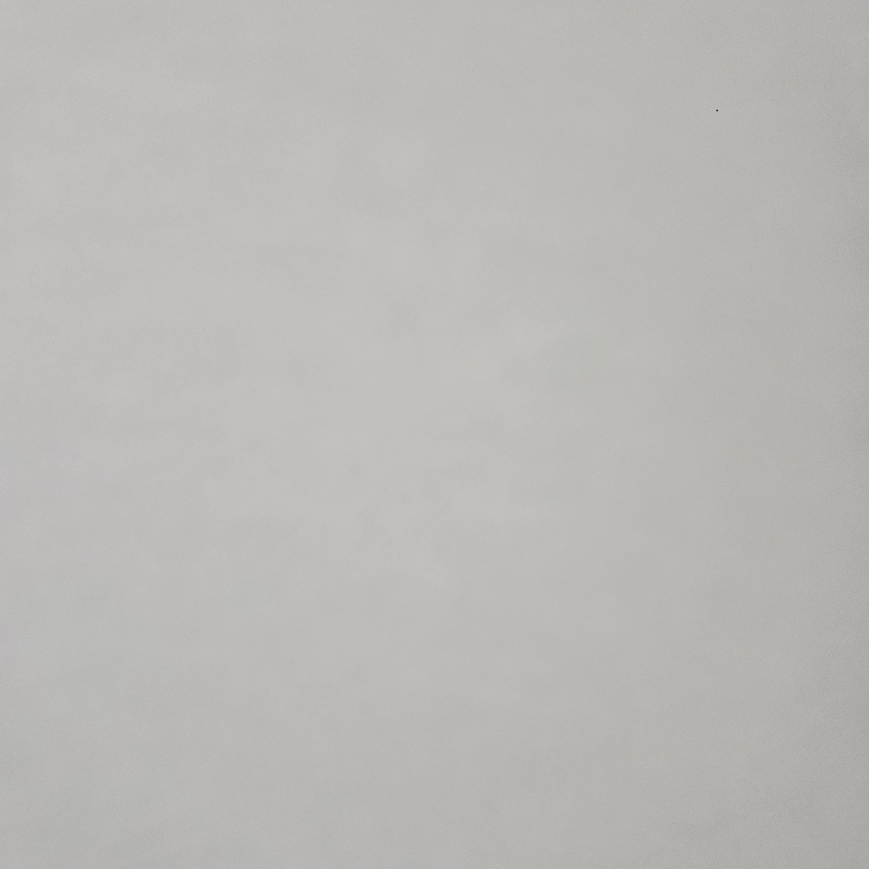 김동현