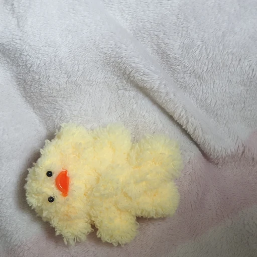 오더기