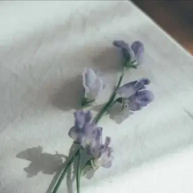 Profile image of 수현