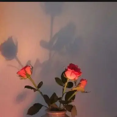 Profile image of 라더