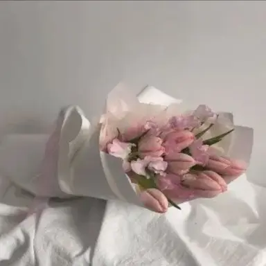 Profile image of 시라