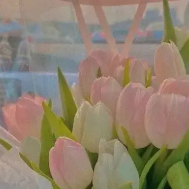 Profile image of 잠뜰