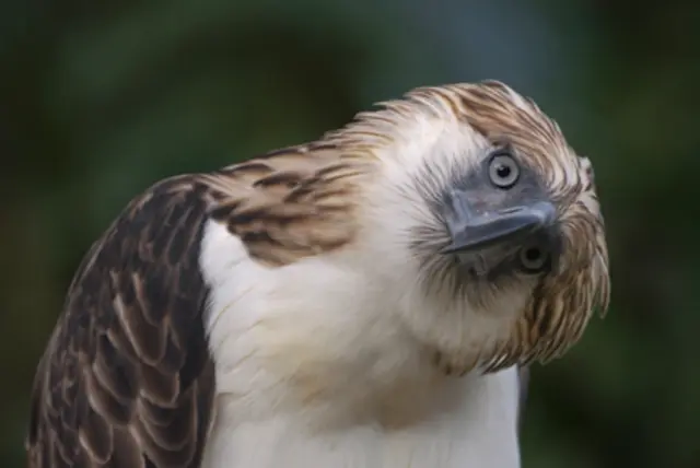 Profile image of Sam