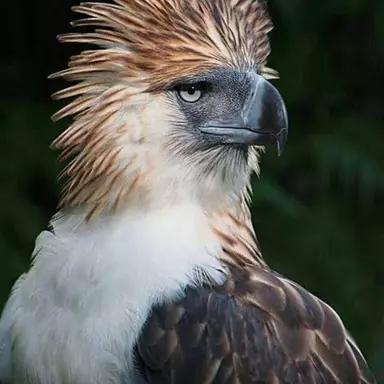 Profile image of Sam