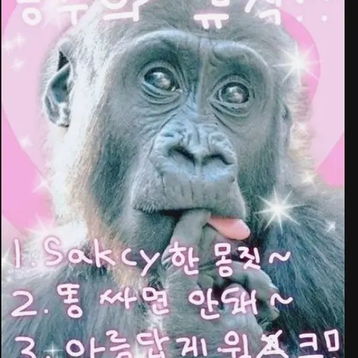NeatBirth4336의 김은별