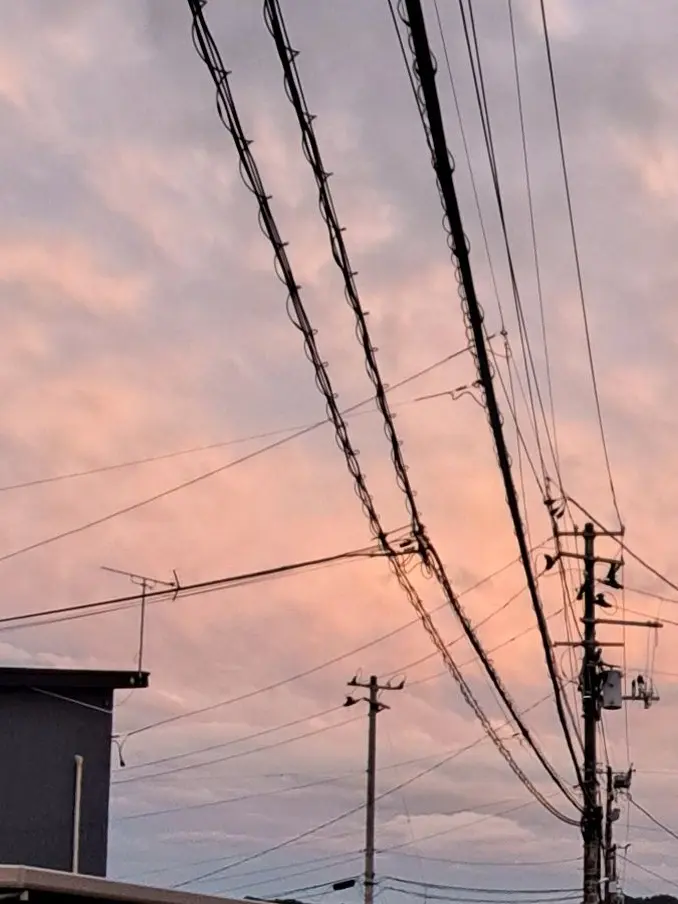 MeekLion4278의 兄と弟と頑張りましょ